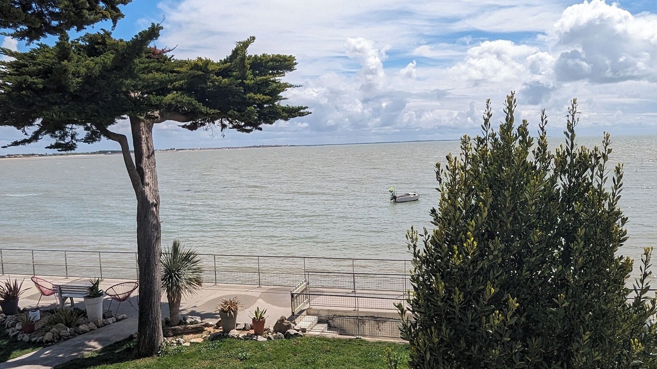 Photo of Outdoor in Angoulins