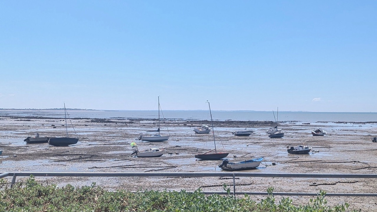 Photo of Others in Angoulins