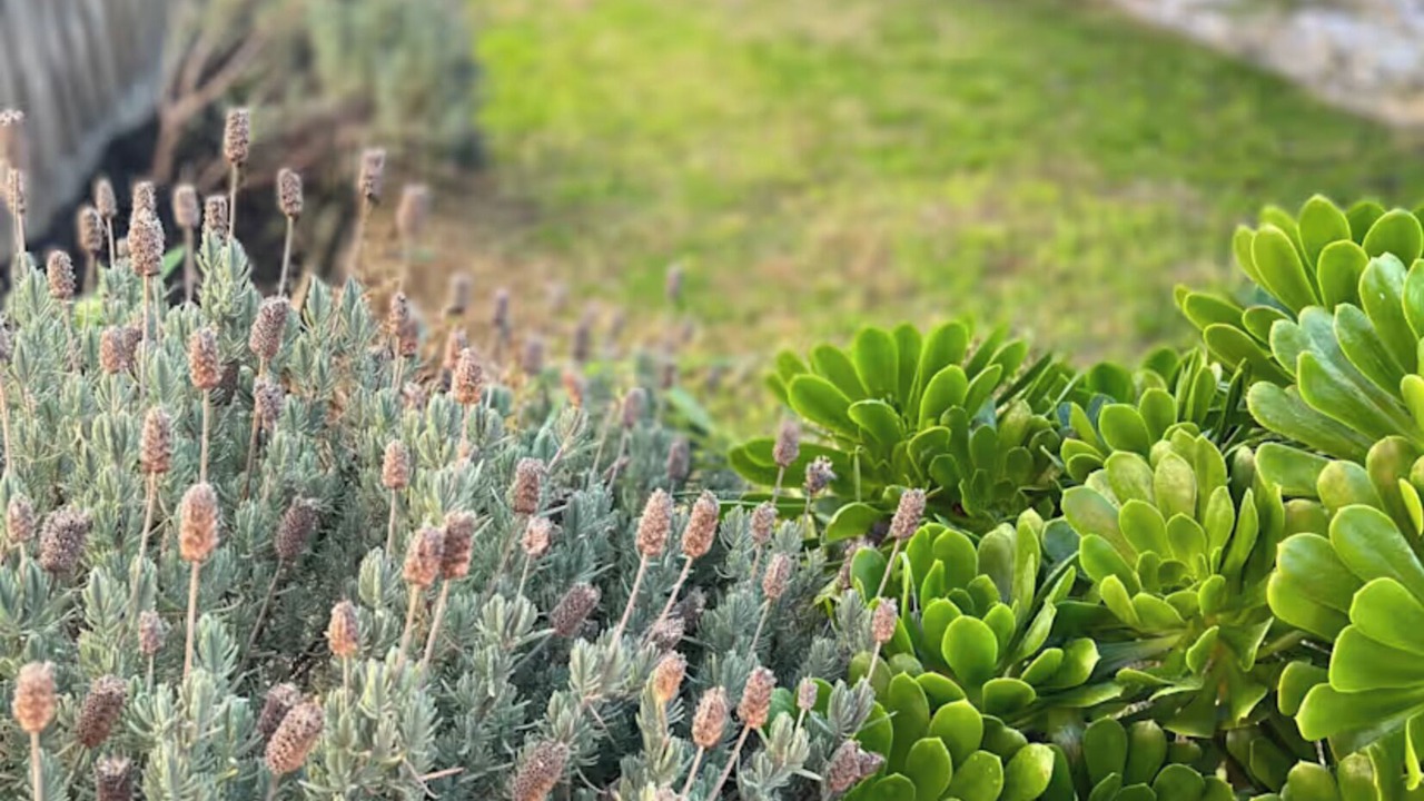 Photo of Outdoor in Cheltenham