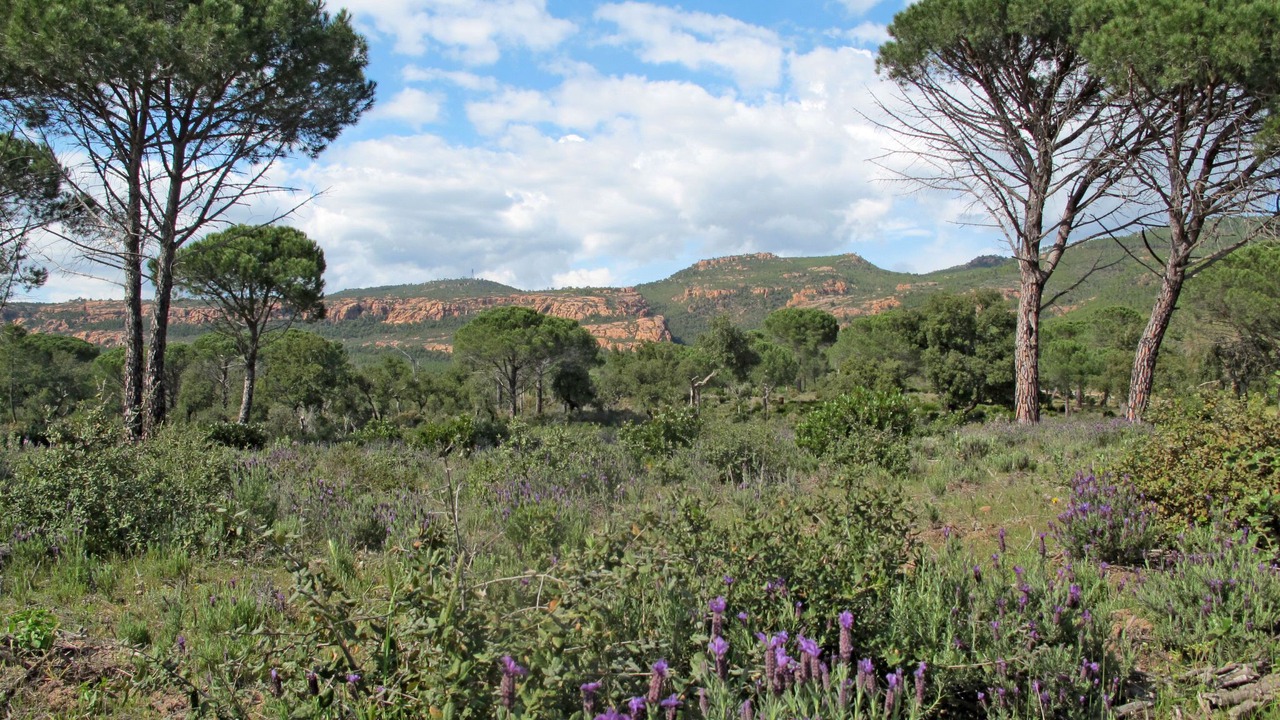 Photo of Others in La Motte