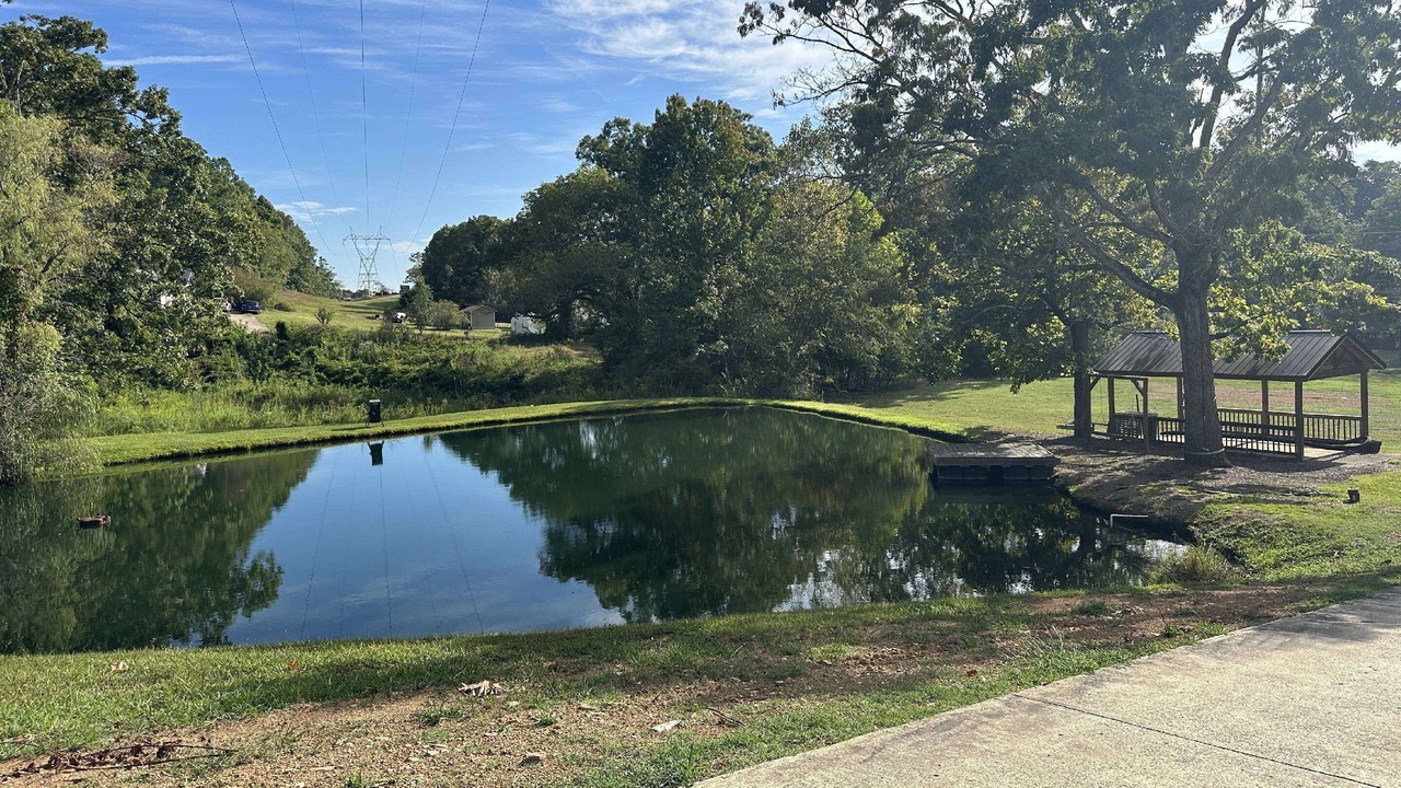 Photo of Others in Lookout Valley Neighborhood Association