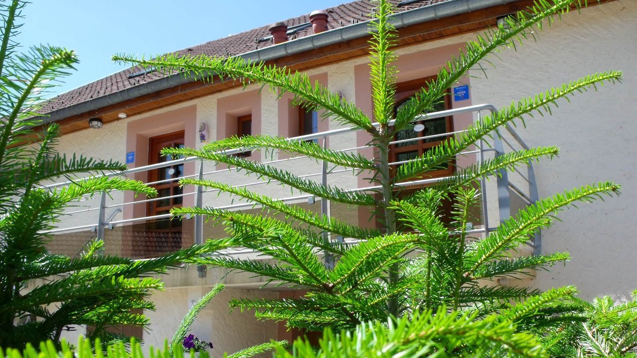 Photo of Others in Ferdrupt