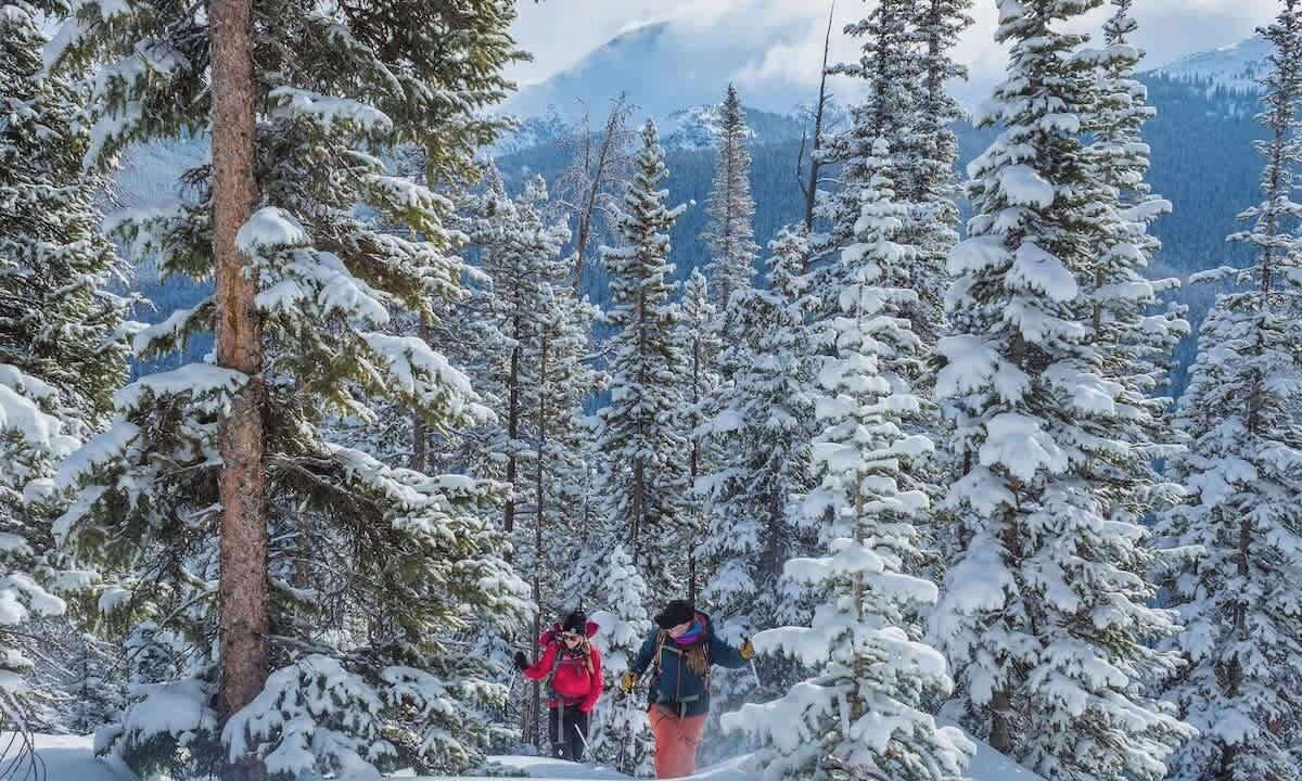 Photo of Others in Winter Park