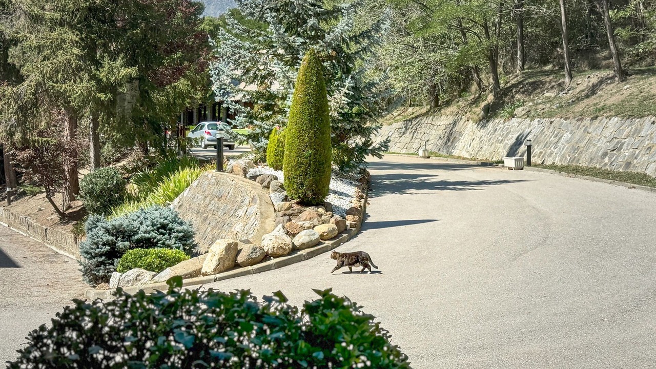 Photo of Outdoor in Enveitg