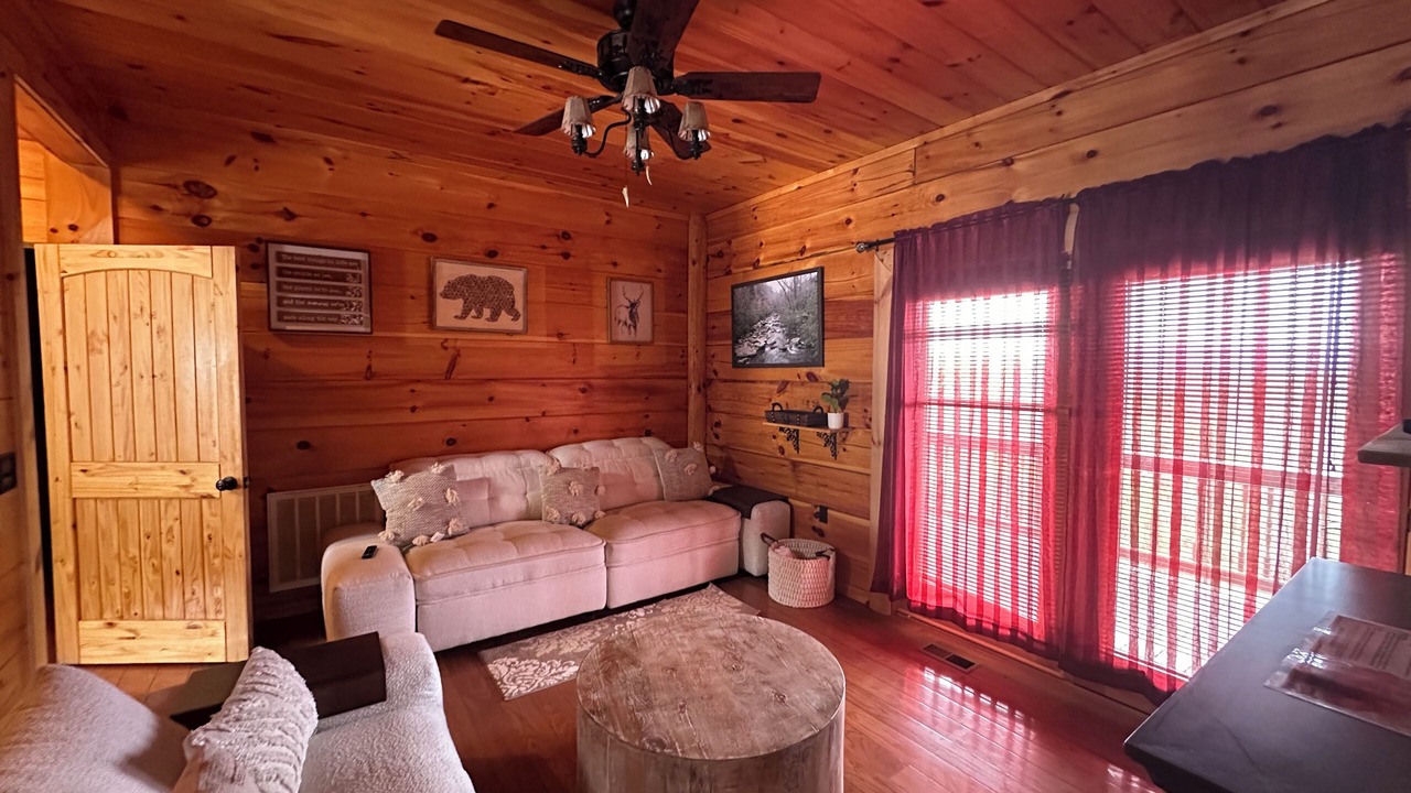 Photo of Livingroom in Dobson