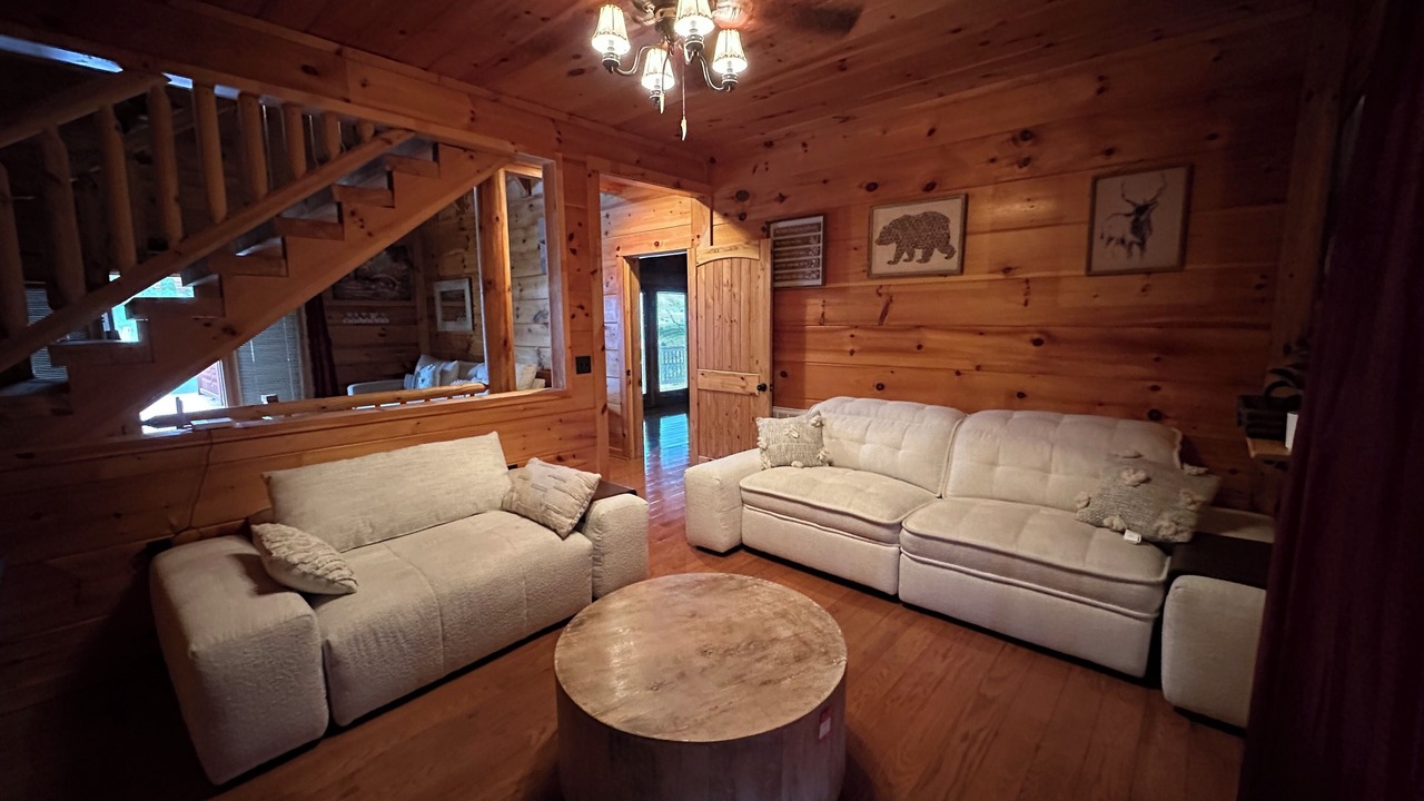 Photo of Livingroom in Dobson