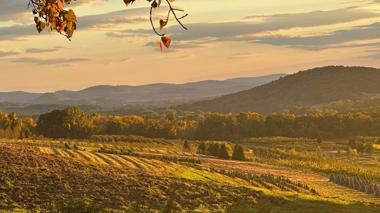 Photo of Others in Copake Falls