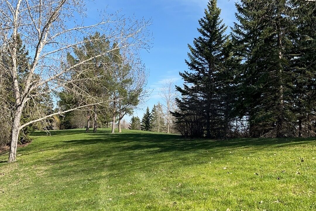 Photo of Others in Regina