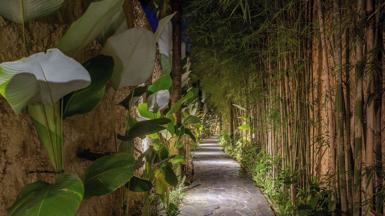 Photo of Outdoor in Tampaksiring