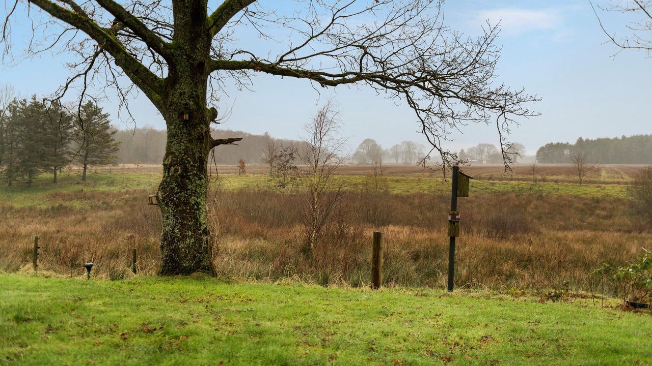 Photo of Others in Hovborg