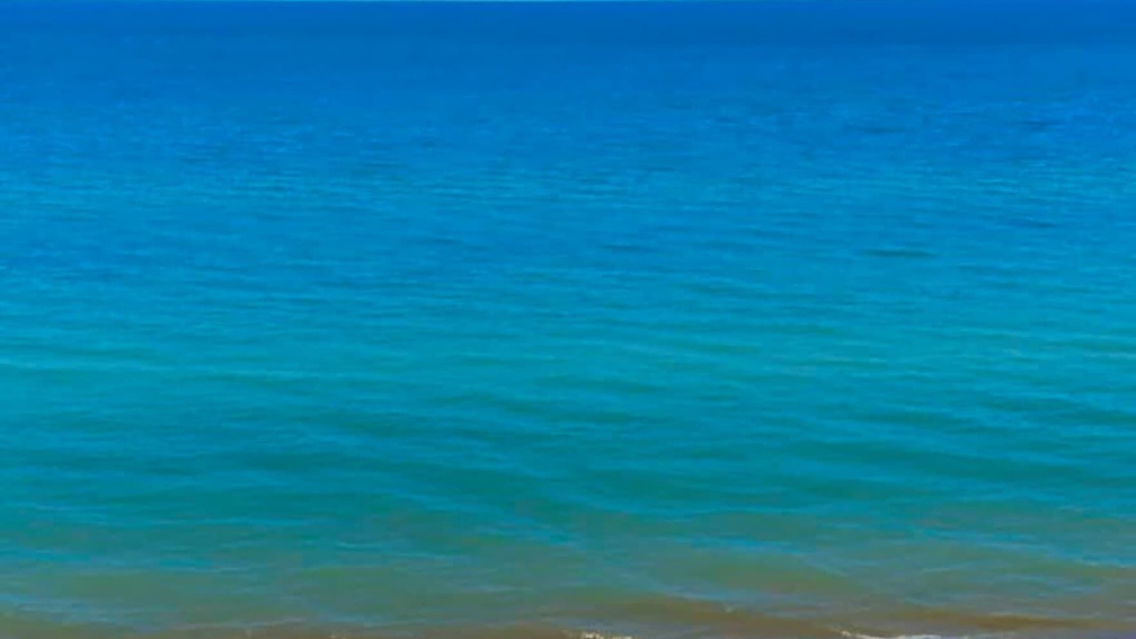 Photo of Others in South Haven