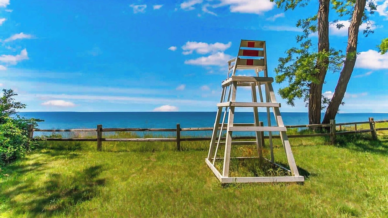 Photo of Others in South Haven