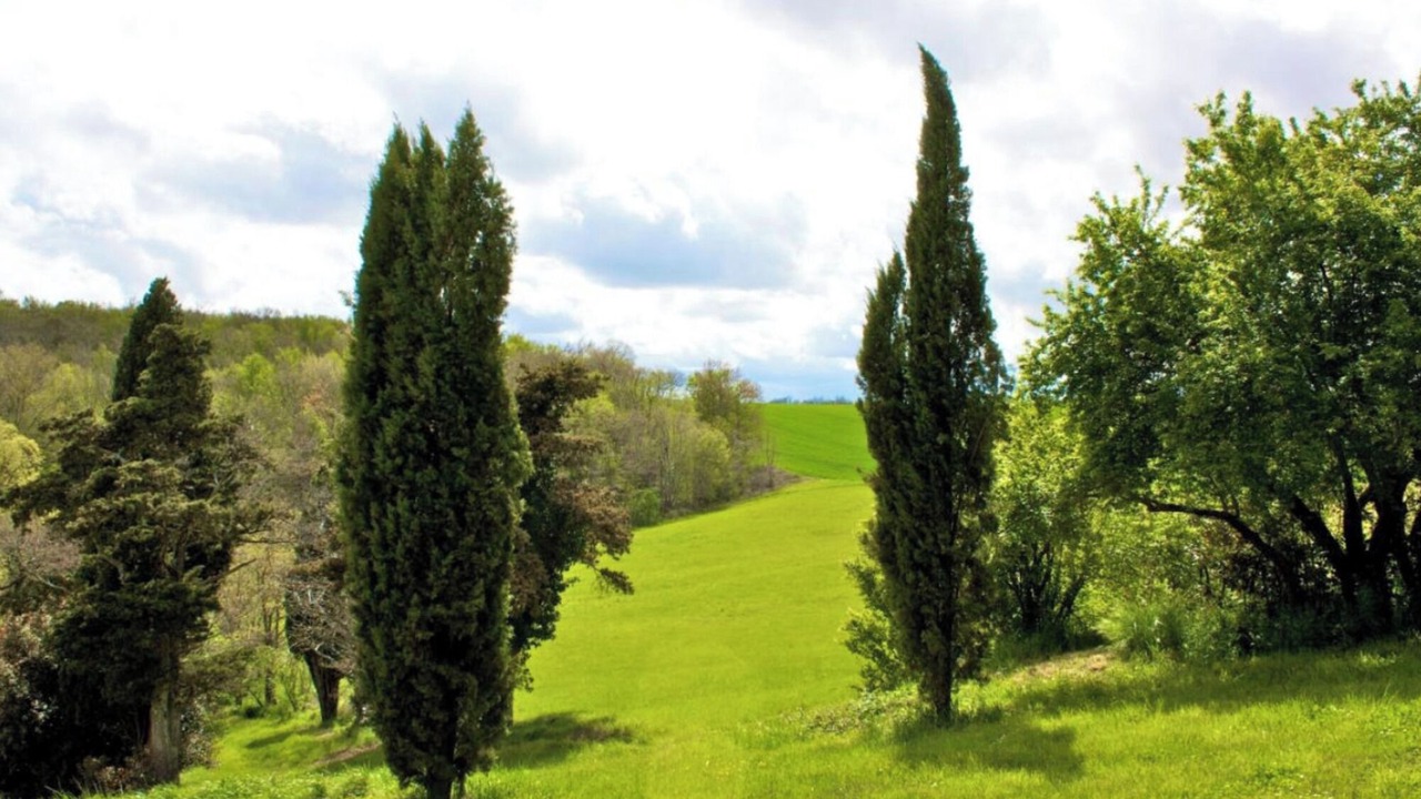 Photo of Others in Pech-Luna