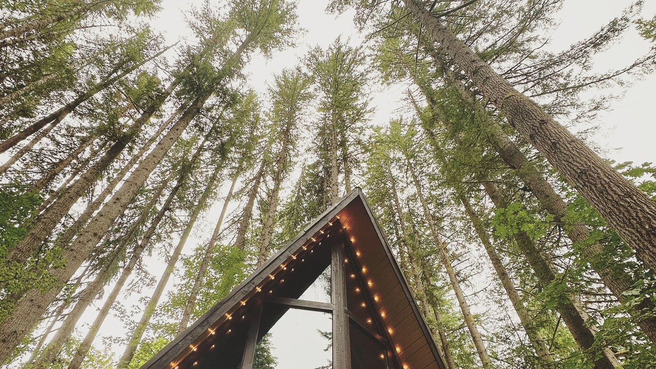 Photo of Others in Skykomish