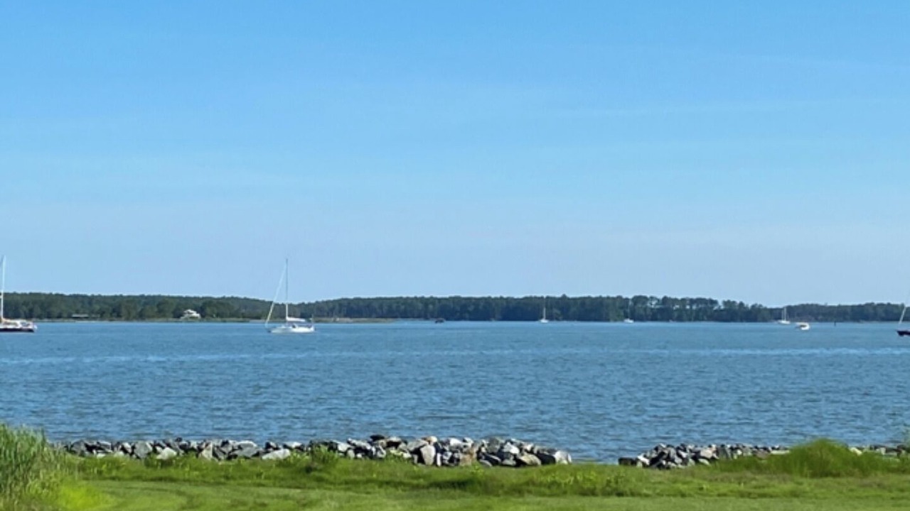 Photo of Others in Woolford