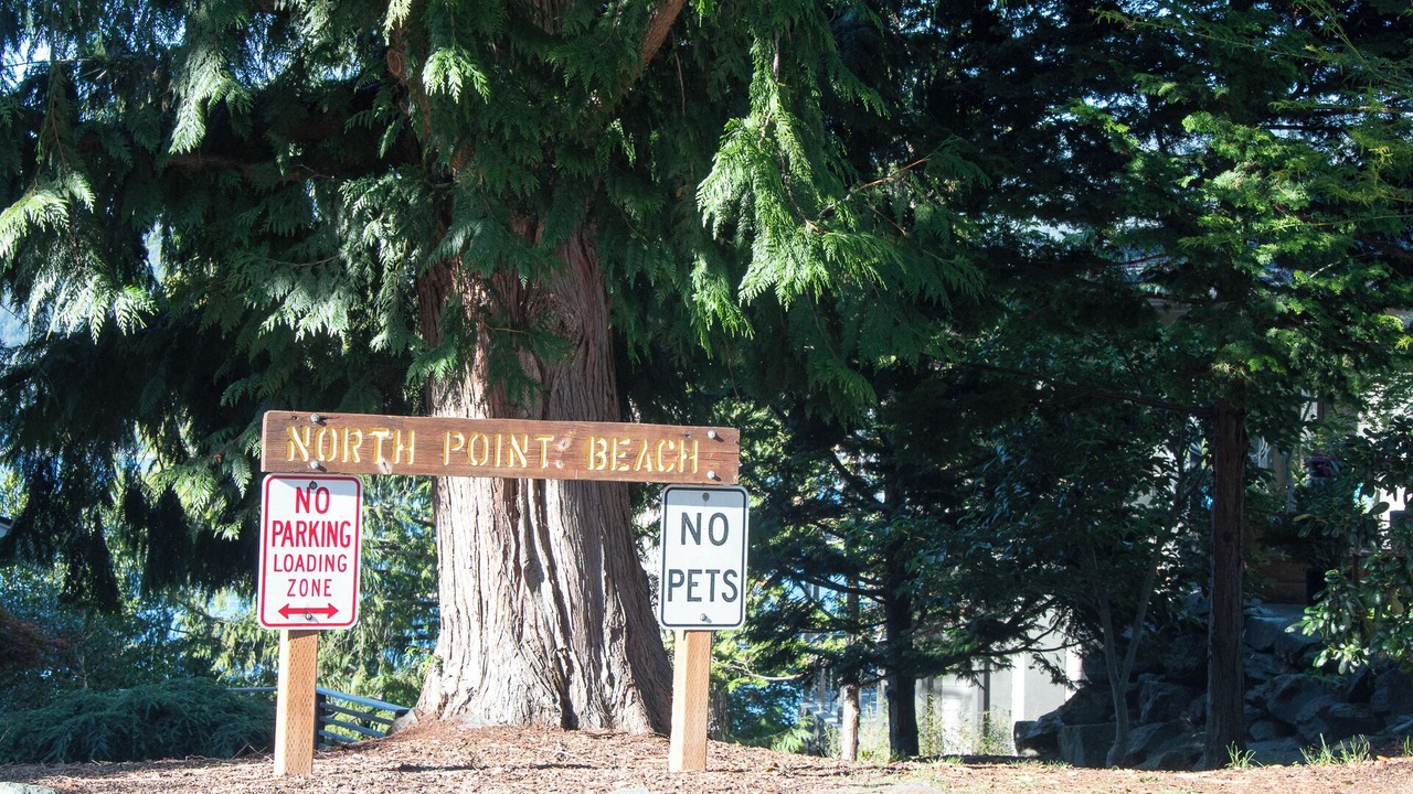 Photo of Outdoor in Sudden Valley