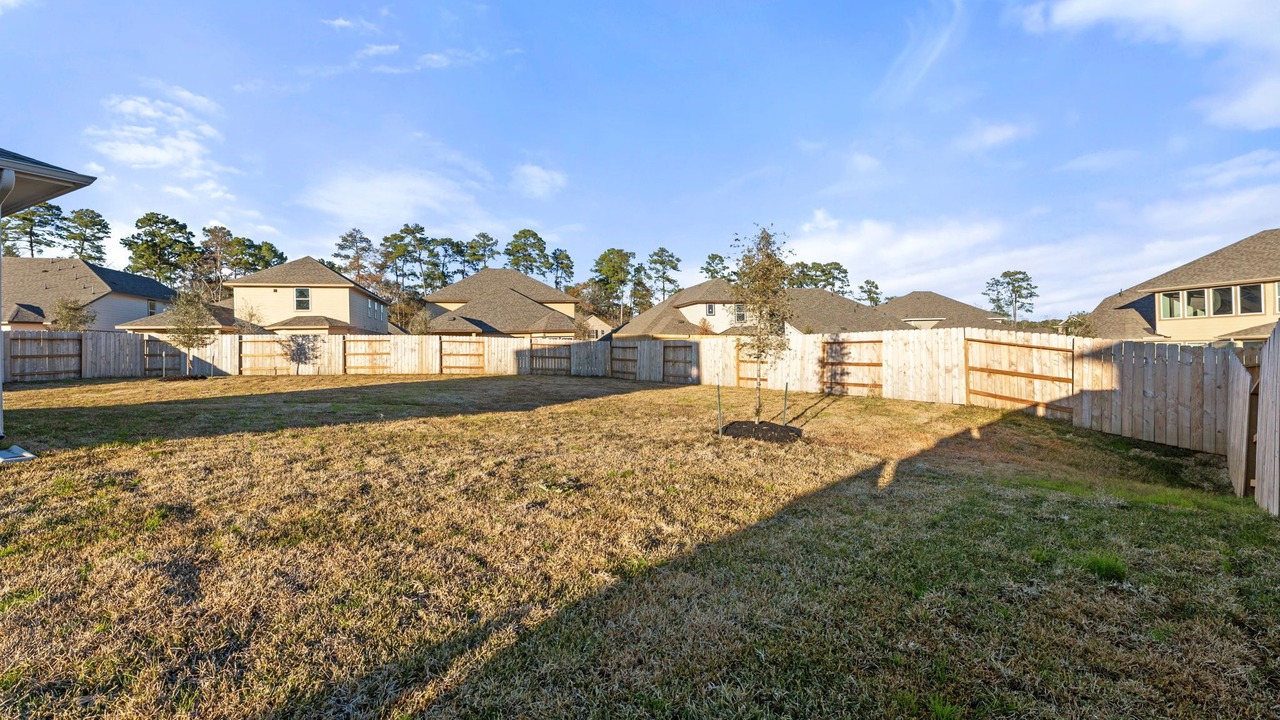 Photo of Outdoor in Conroe