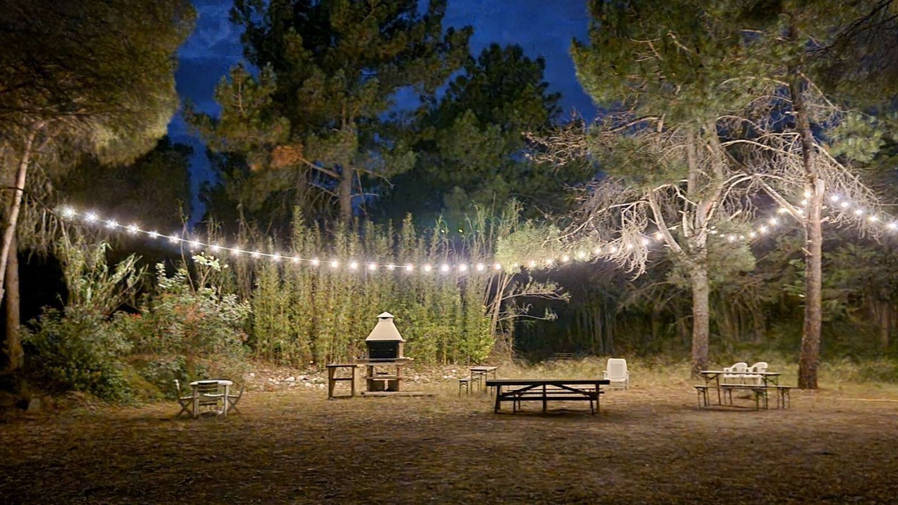 Photo of Outdoor in Plage d'Argeles