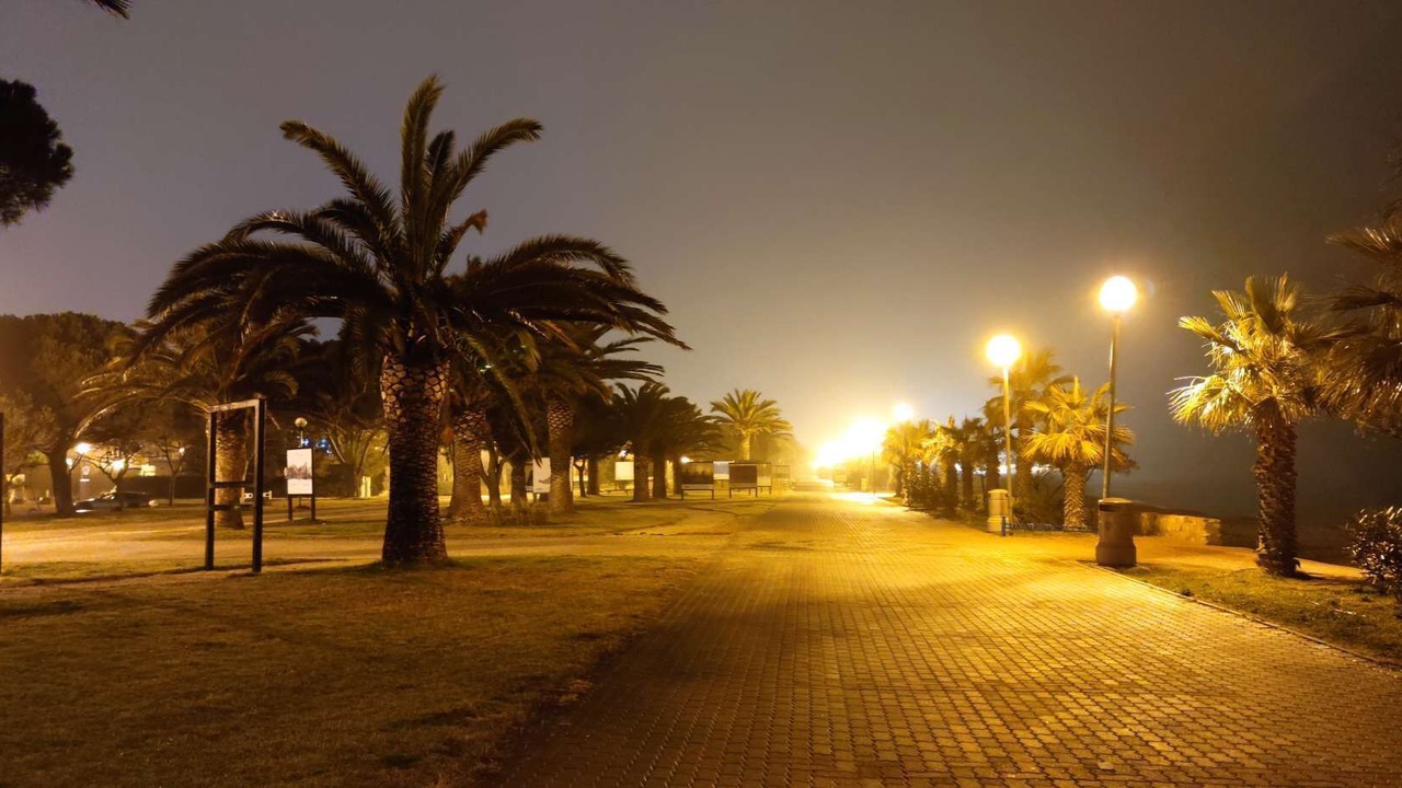 Photo of Others in Plage d'Argeles