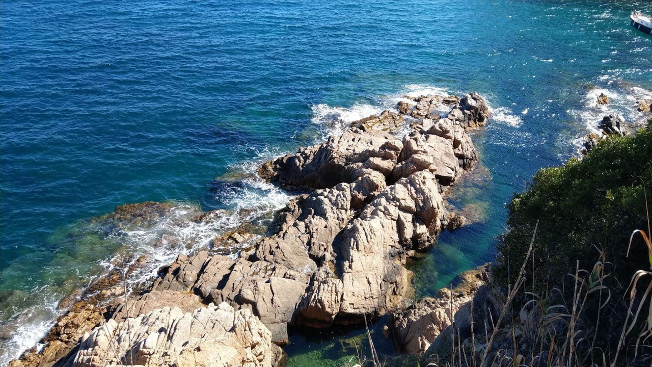 Photo of Others in Plage d'Argeles