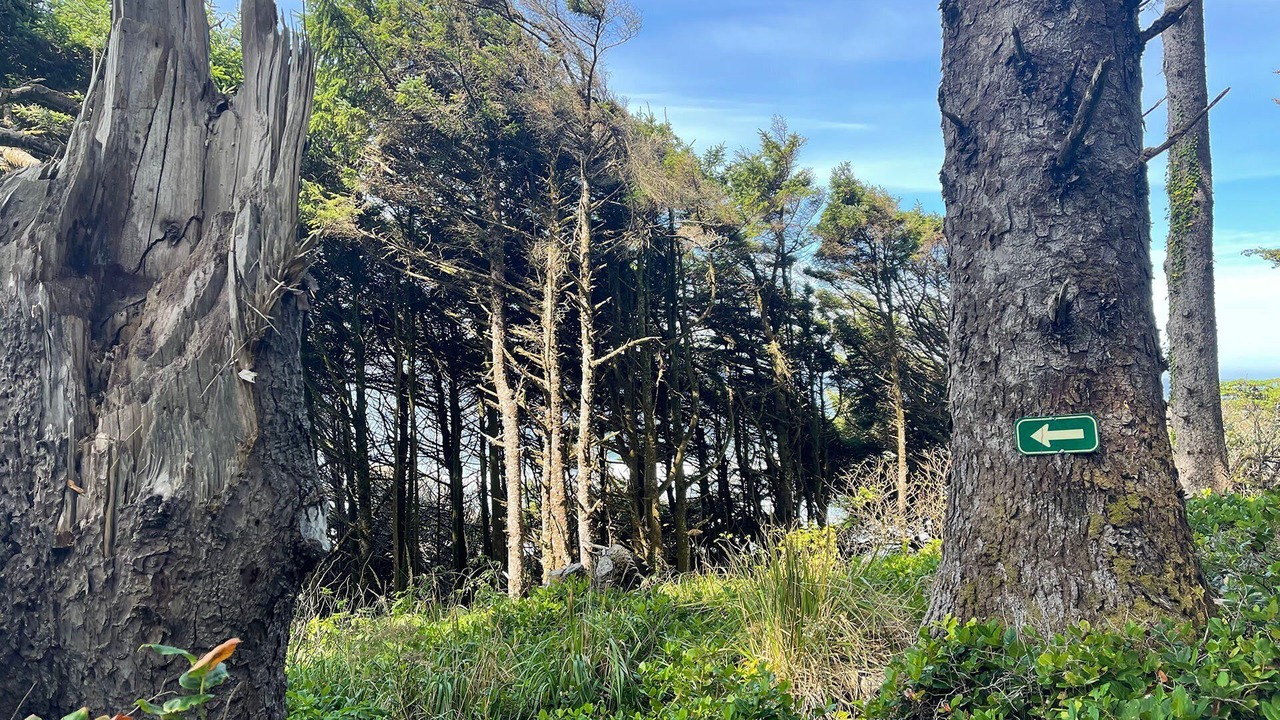 Photo of Others in Yachats