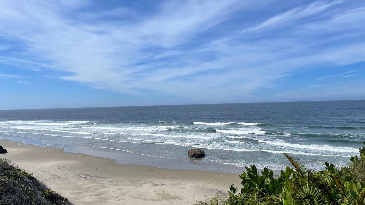 Photo of Others in Yachats