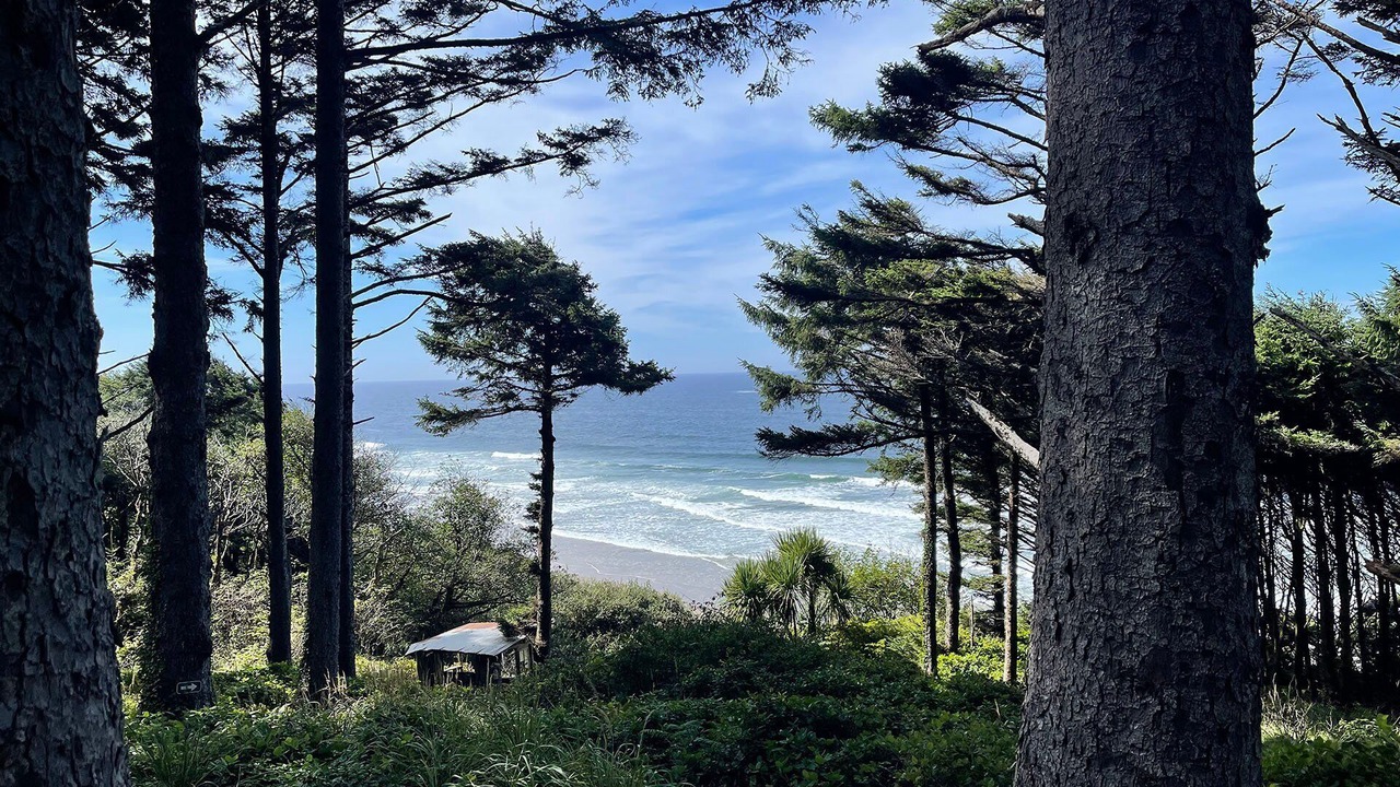 Photo of Others in Yachats