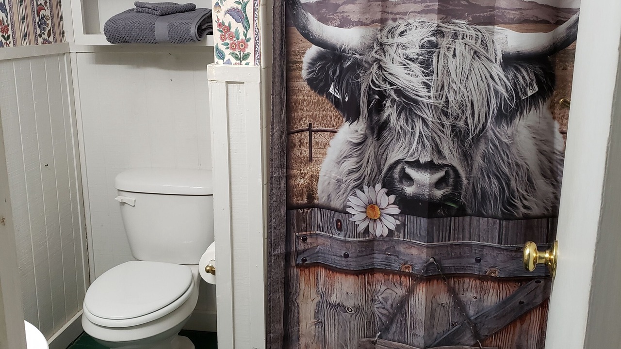Photo of Bathroom in Johnson County