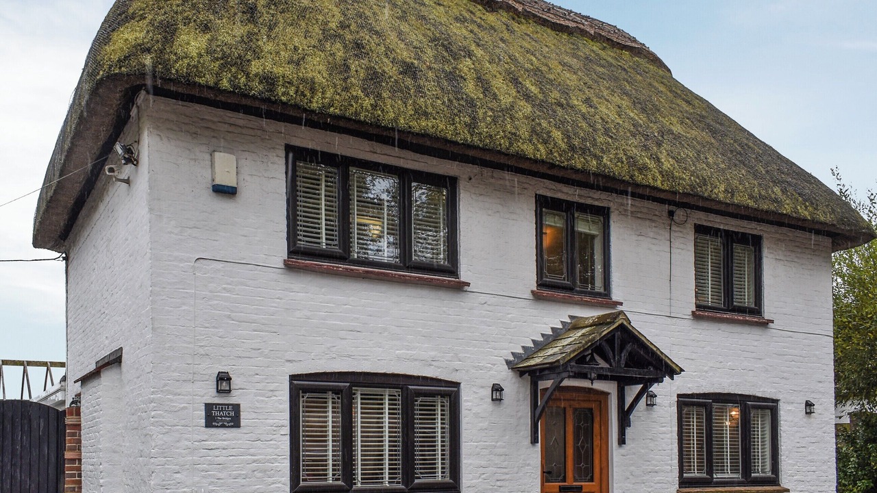 Photo of Others in New Forest District