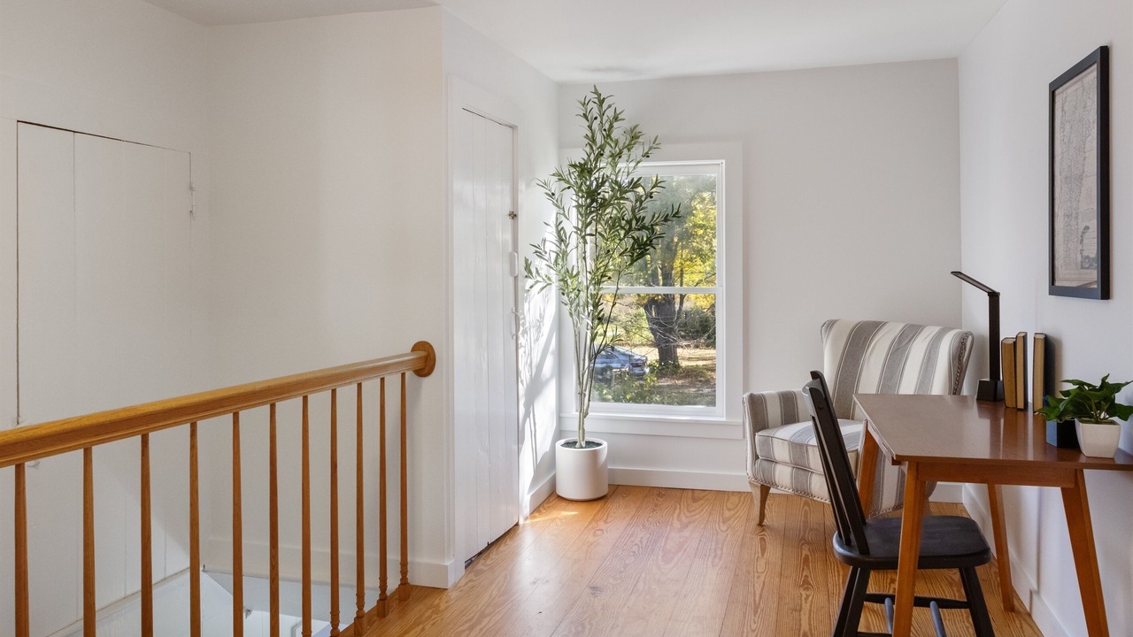 Photo of Others in East Dorset