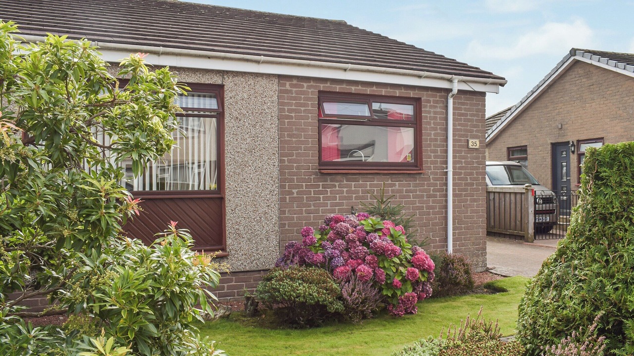 Photo of Outdoor in Tillicoultry