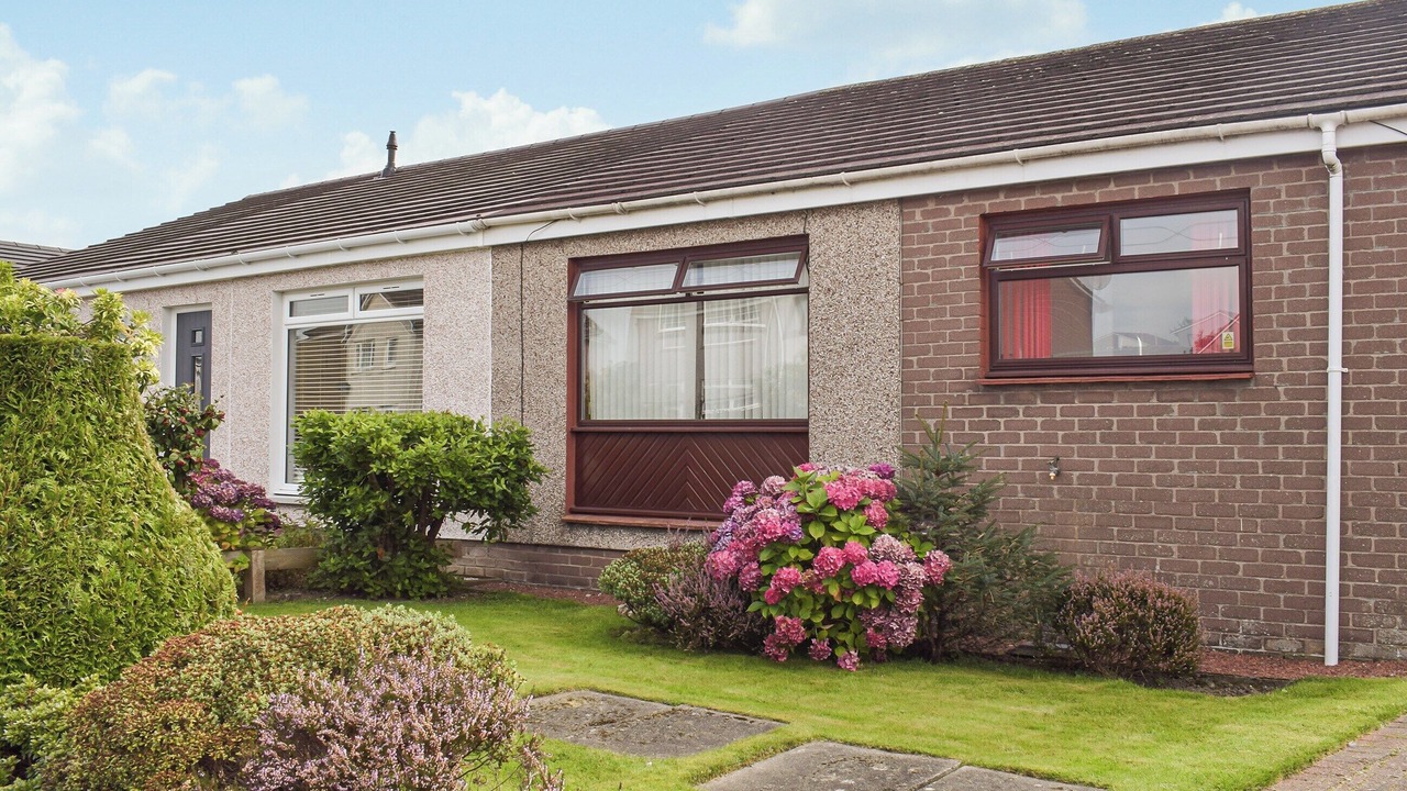 Photo of Others in Tillicoultry