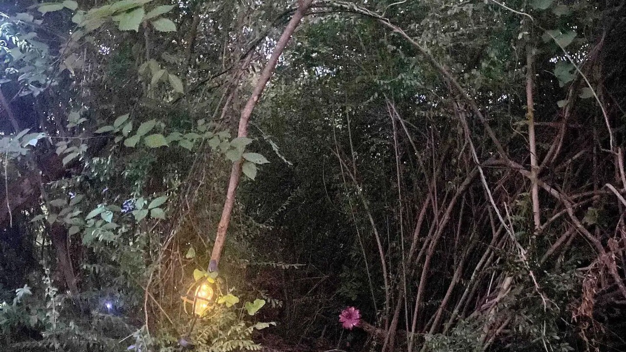 Photo of Outdoor in Denton