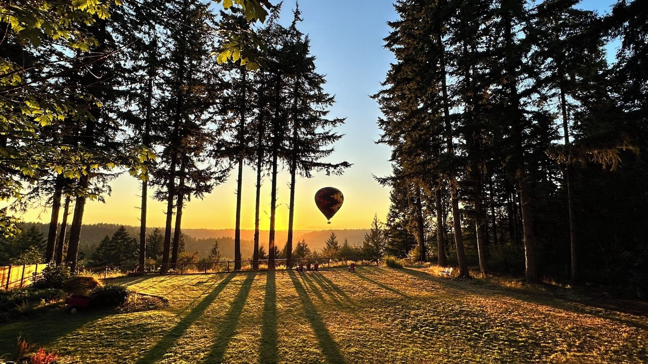 Photo of Others in Auburn