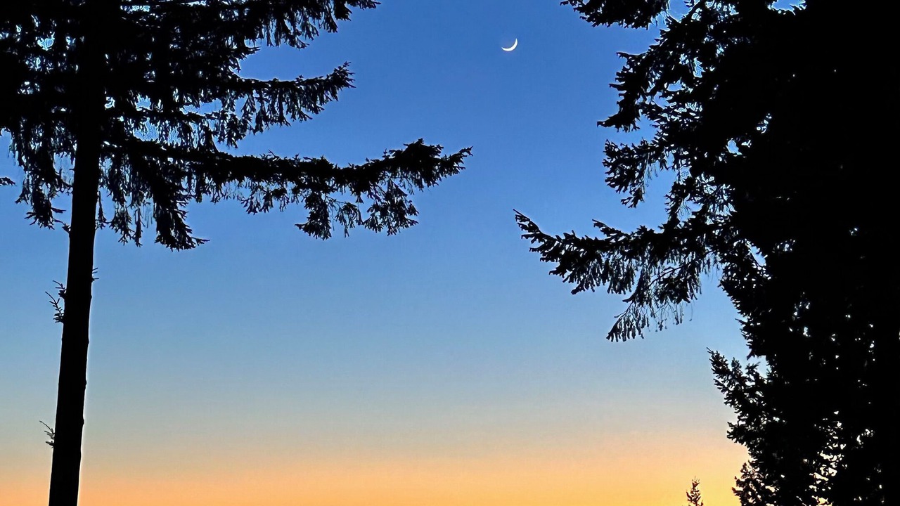 Photo of Others in Auburn