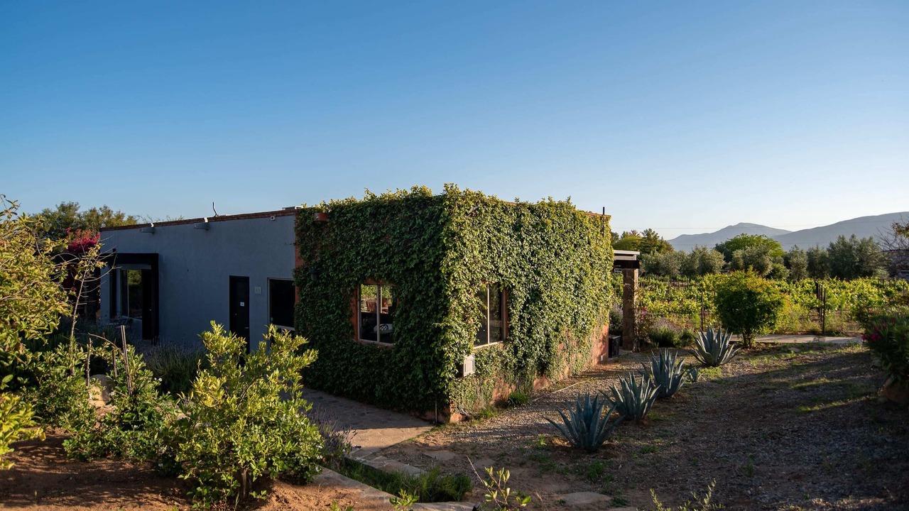 Photo of Outdoor in Valle de Guadalupe