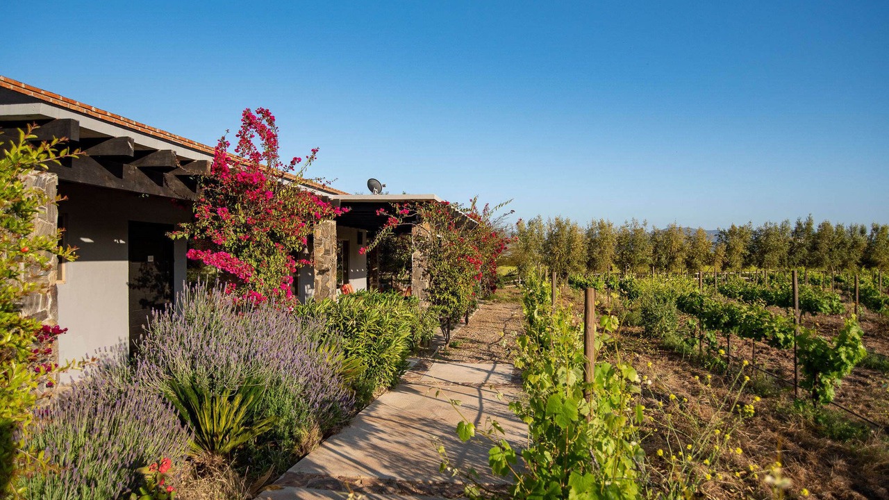 Photo of Outdoor in Valle de Guadalupe