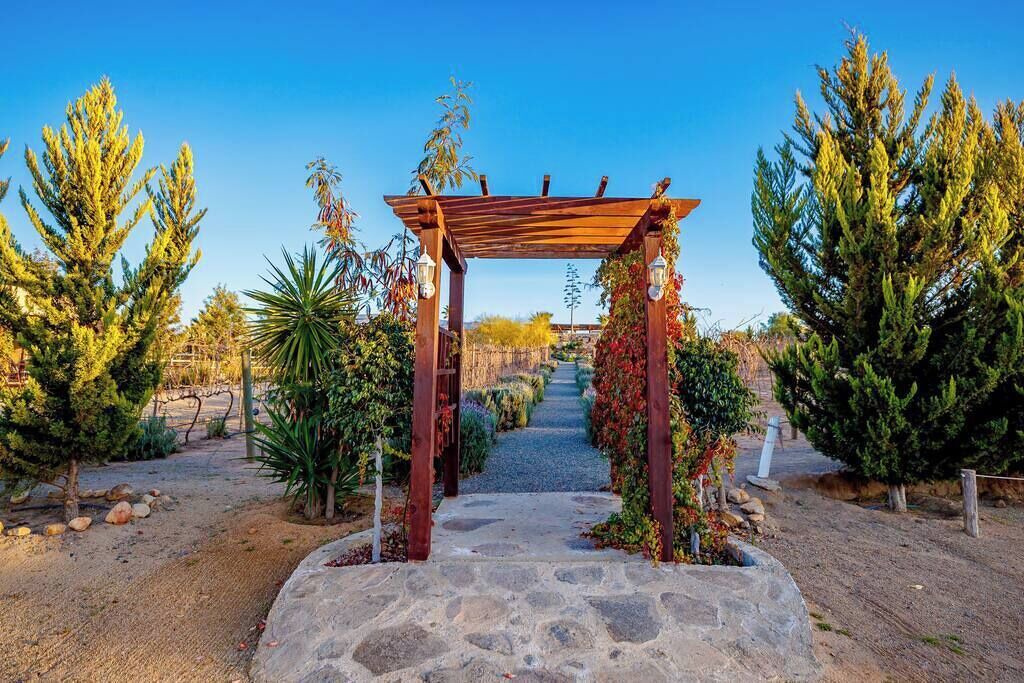 Photo of Outdoor in Valle de Guadalupe