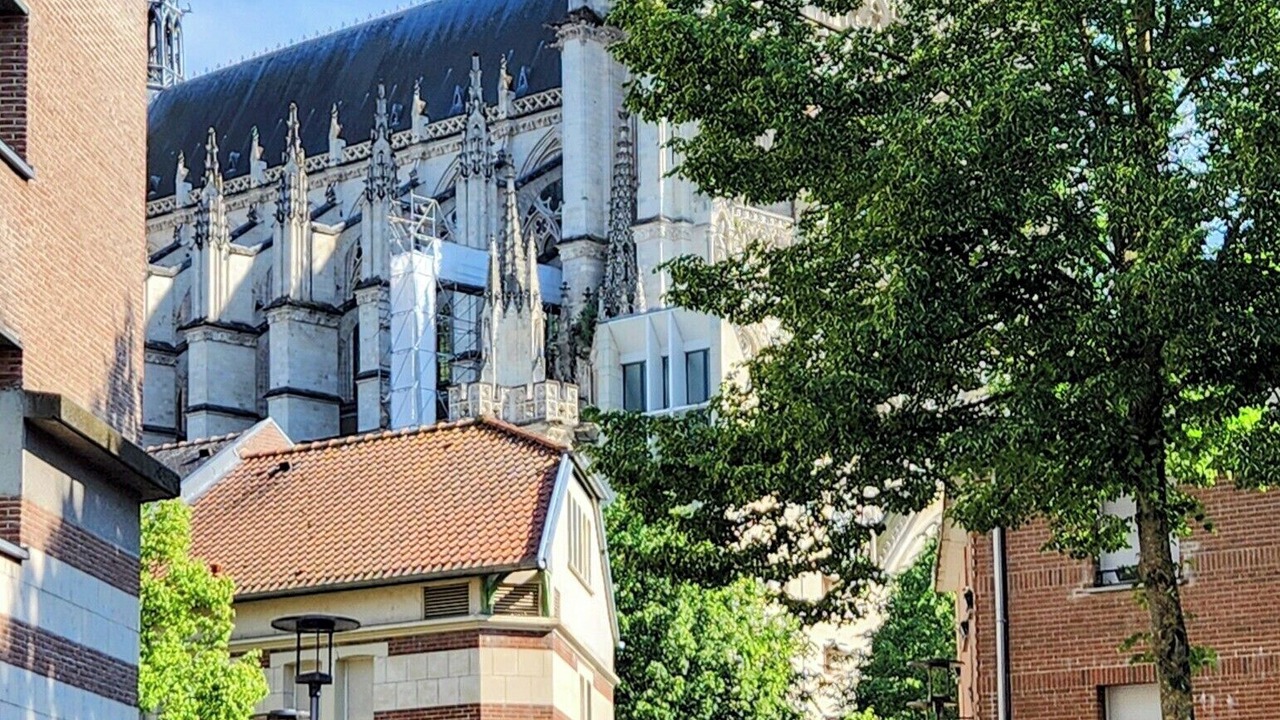 Photo of Others in Saint-Leu