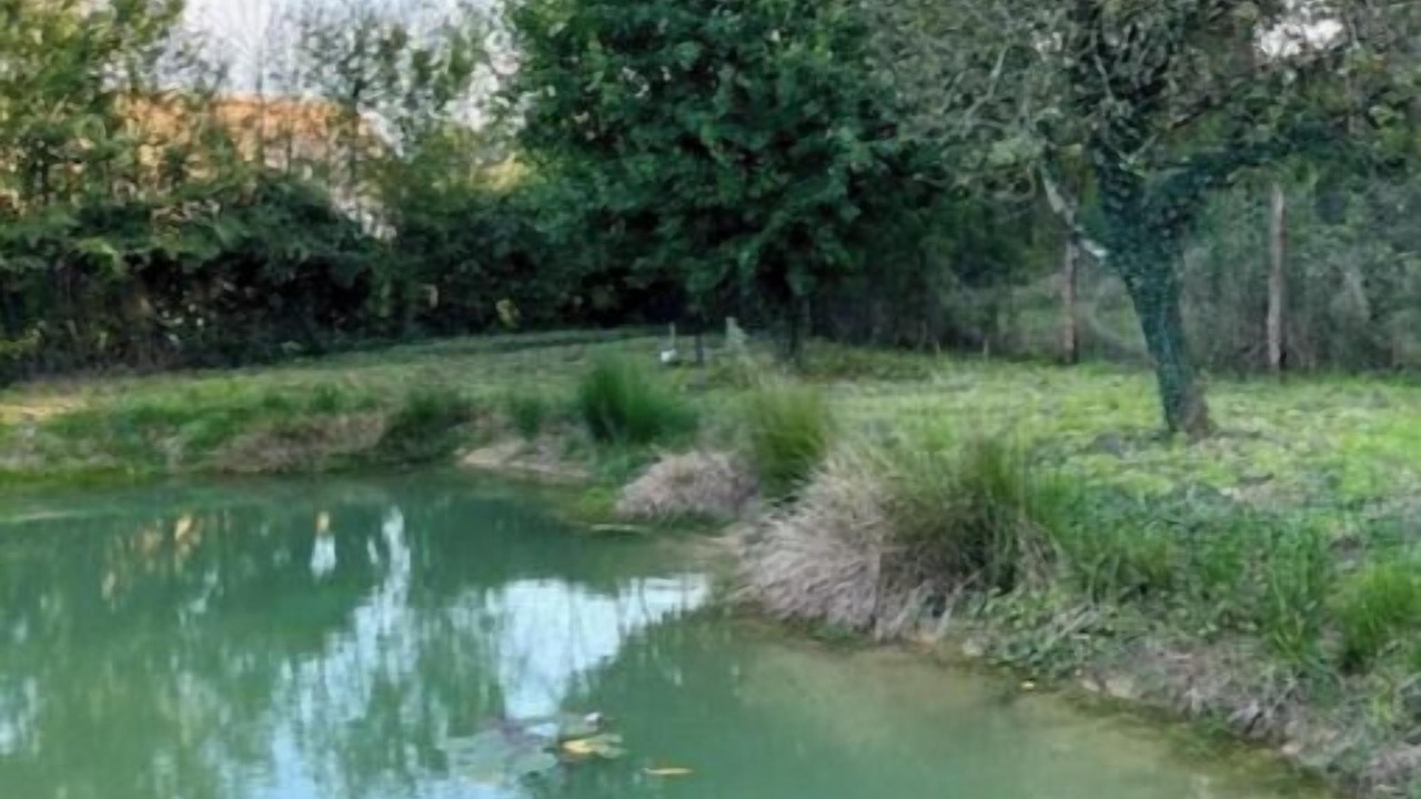 Photo of Others in Montereau