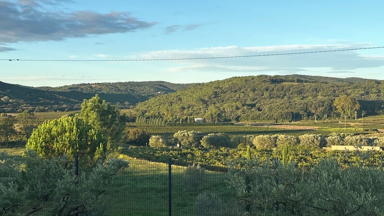 Photo of Others in Saint Michel d'Euzet