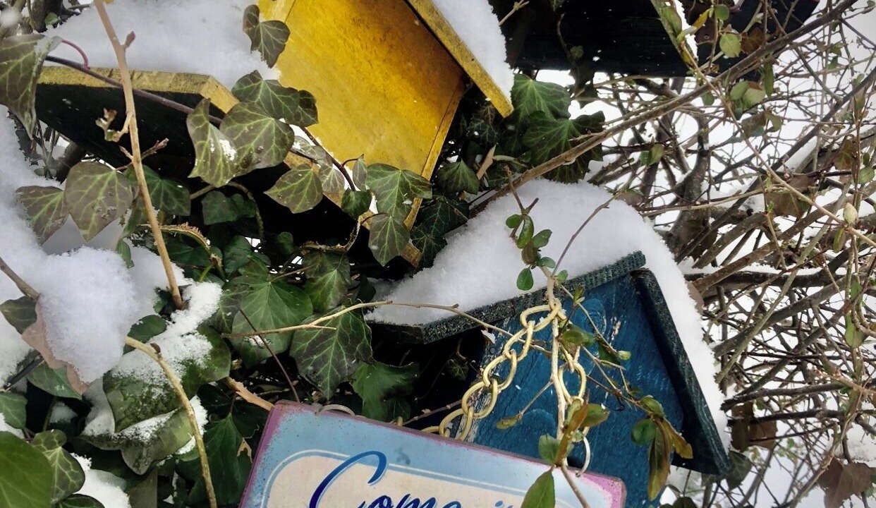 Photo of Outdoor in Ceyssat