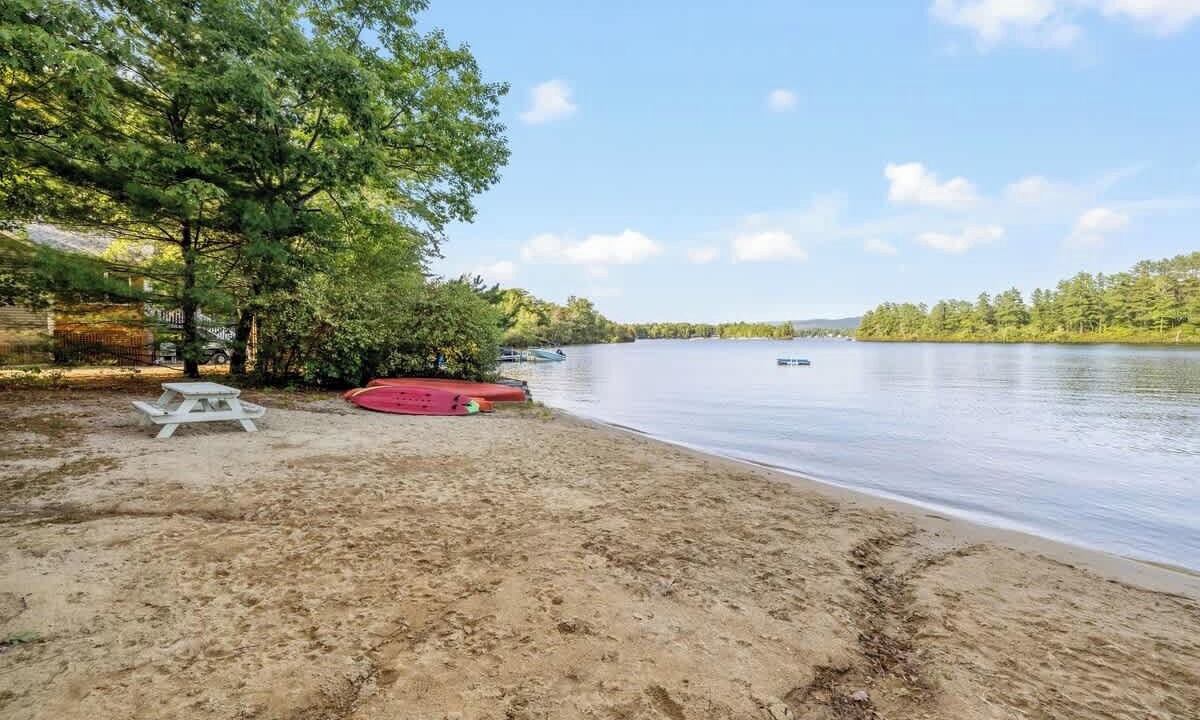 Photo of Others in The Bays