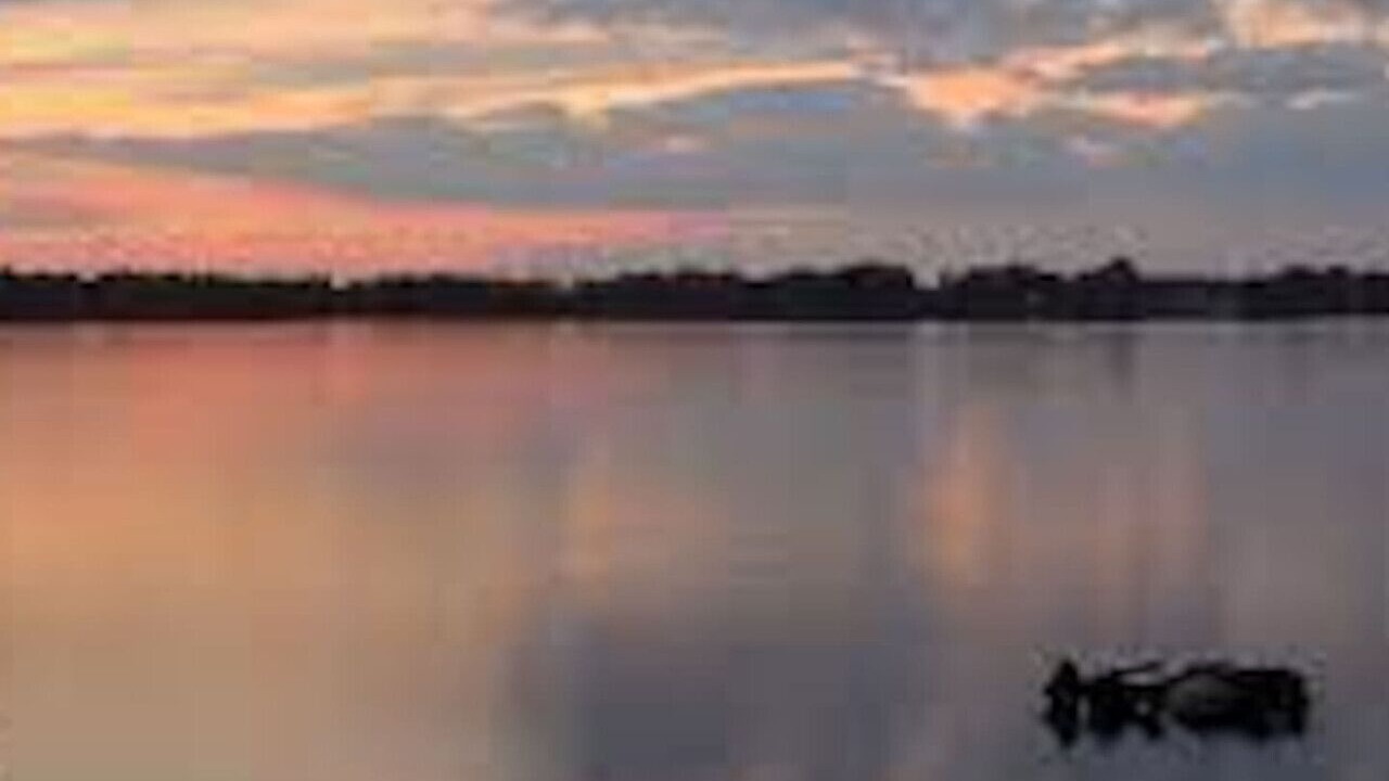 Photo of Others in Richmond Hill