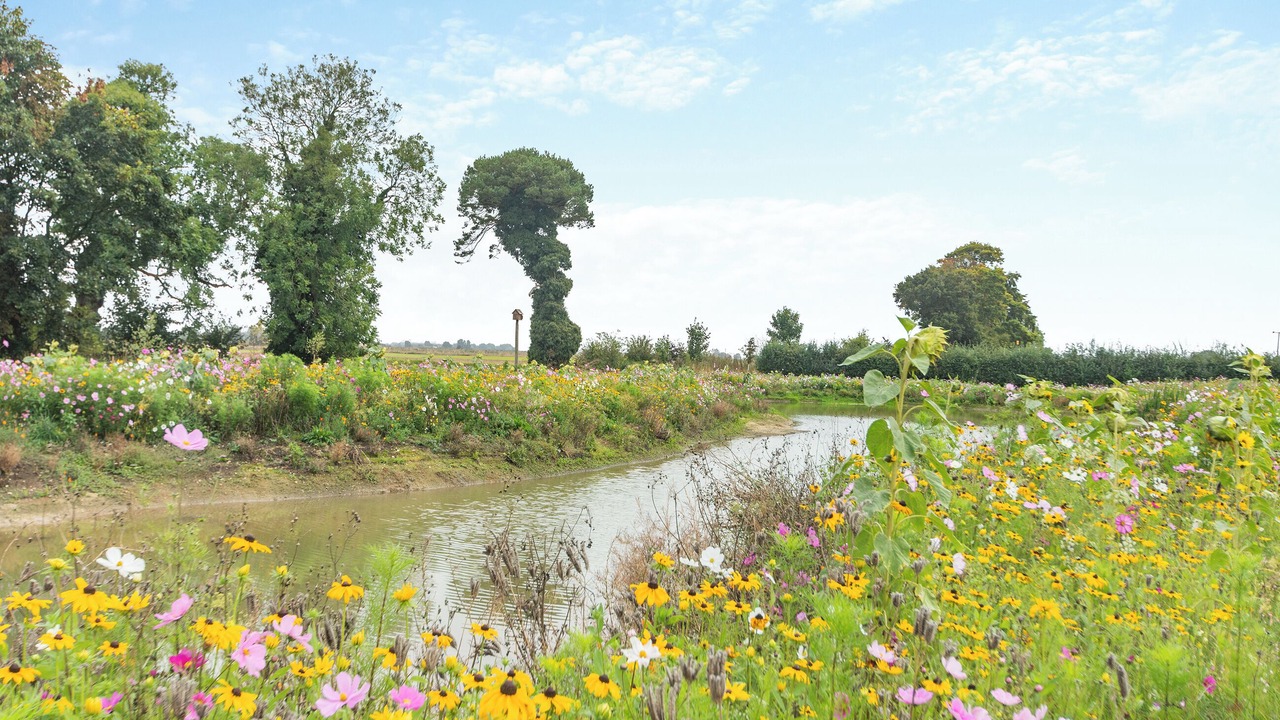 Photo of Others in Kilnwick