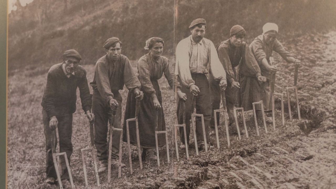 Photo of Others in Zumaia