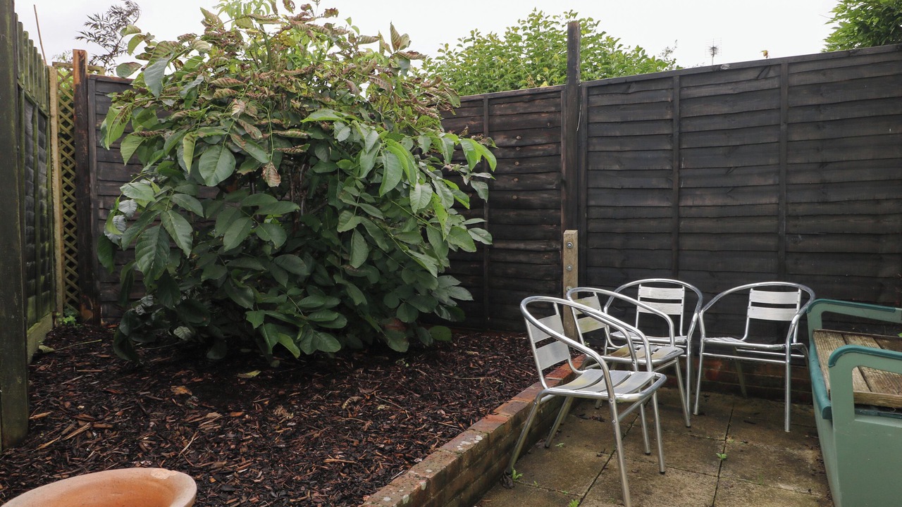 Photo of Patio Balcony in Ford