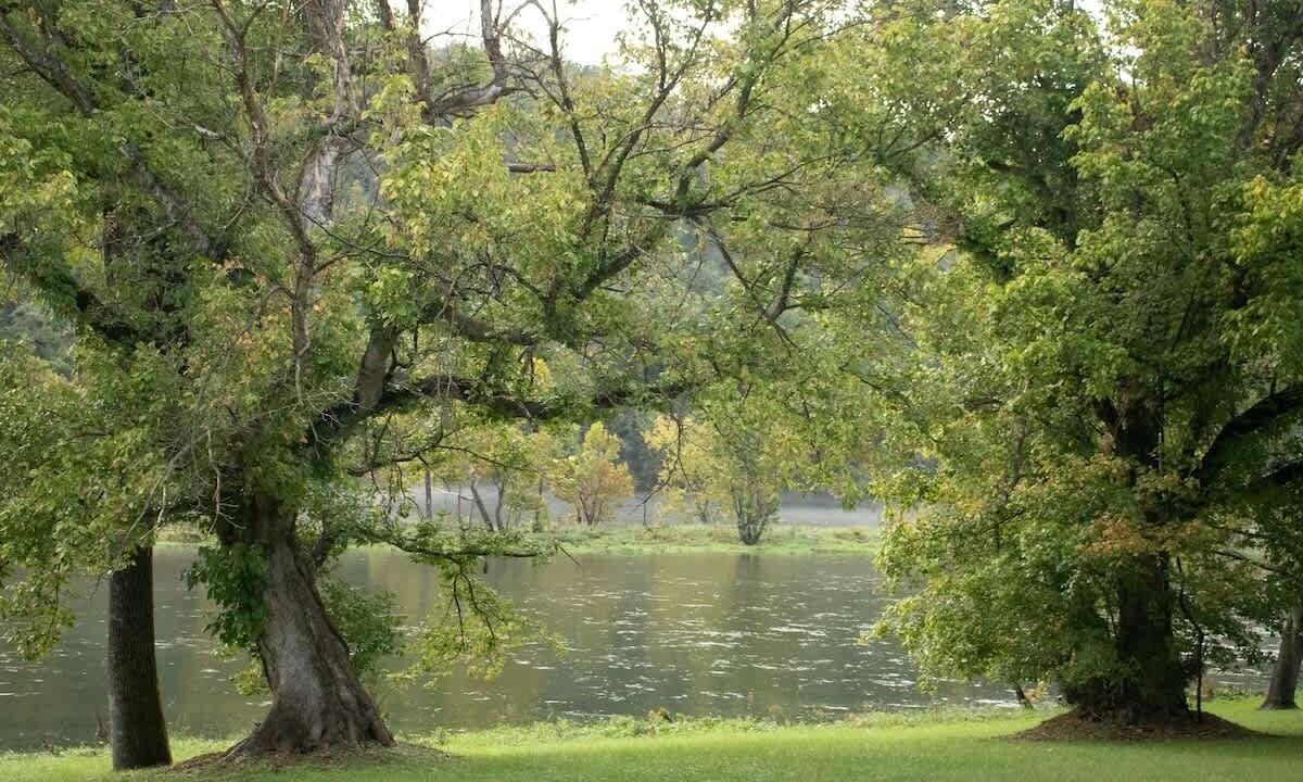 Photo of Others in Cotter