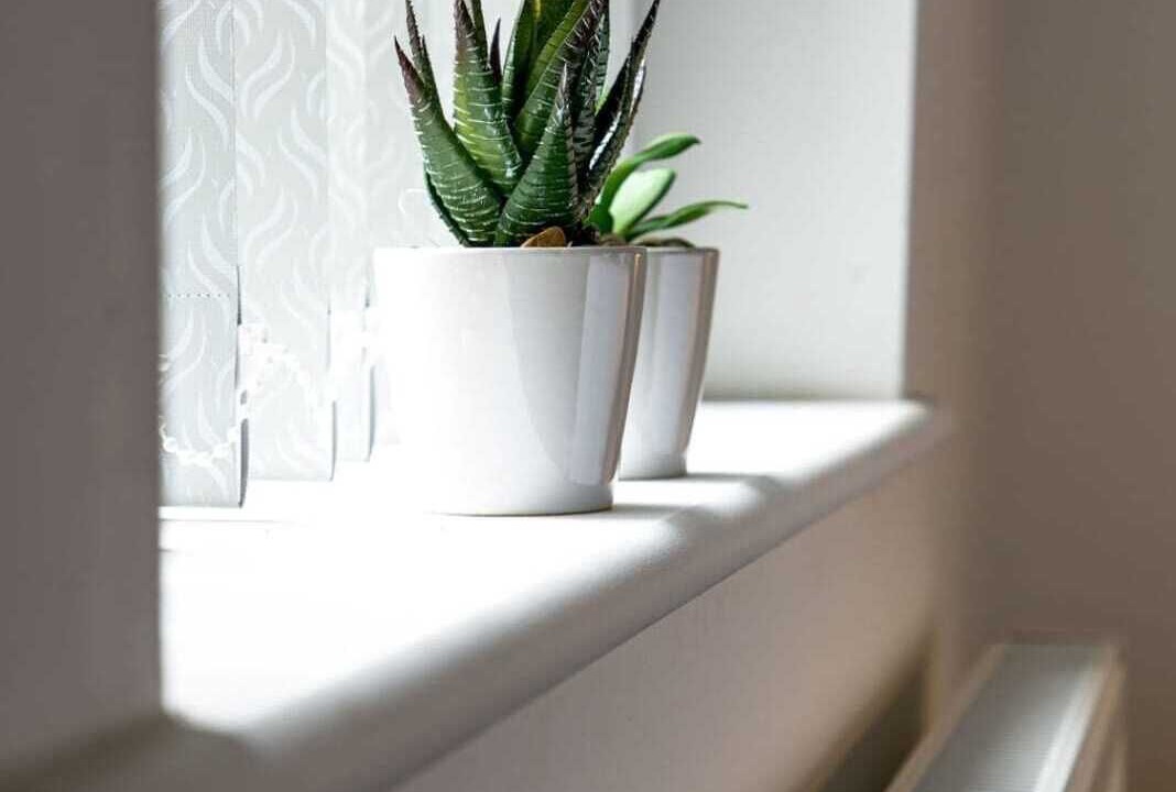 Photo of Others in Stoke-on-Trent