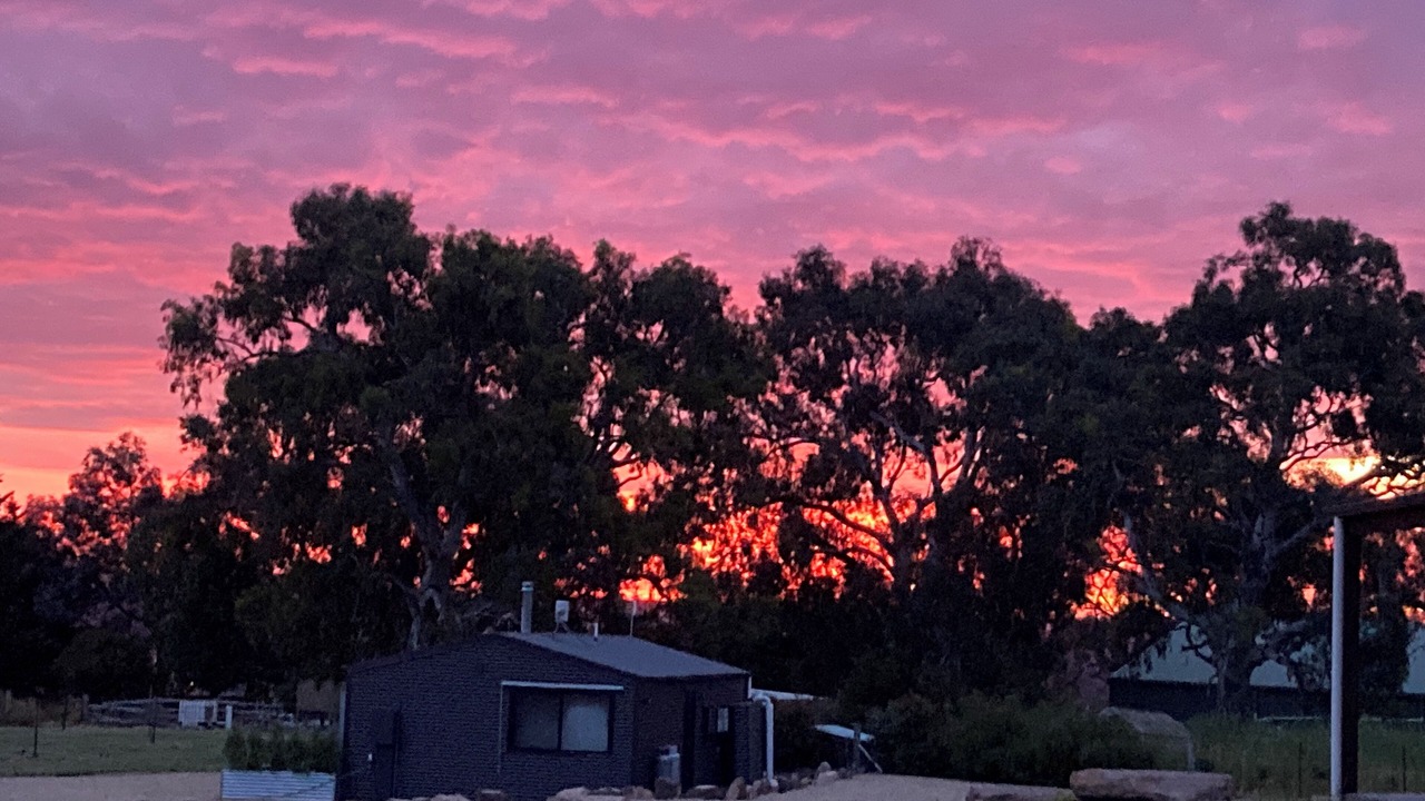 Photo of Others in Mansfield